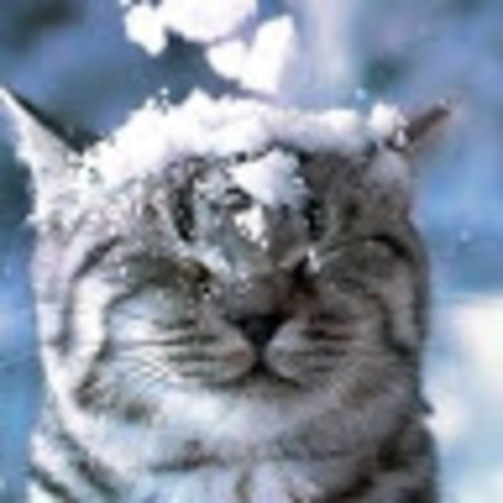 Meet your Posher, Katherine